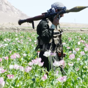 210914164159-02-afghanistan-opium-file-2005