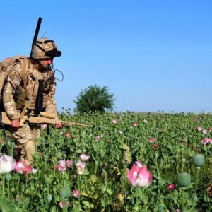 WhatsApp Image 2026-03-04 at 1.09.58 AM