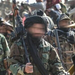 WhatsApp Image 2026-03-04 at 11.36.10 AM (1)